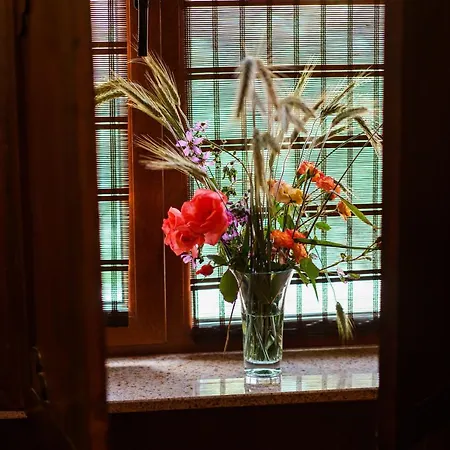 Ego - Free Parking - Location Plowdiw